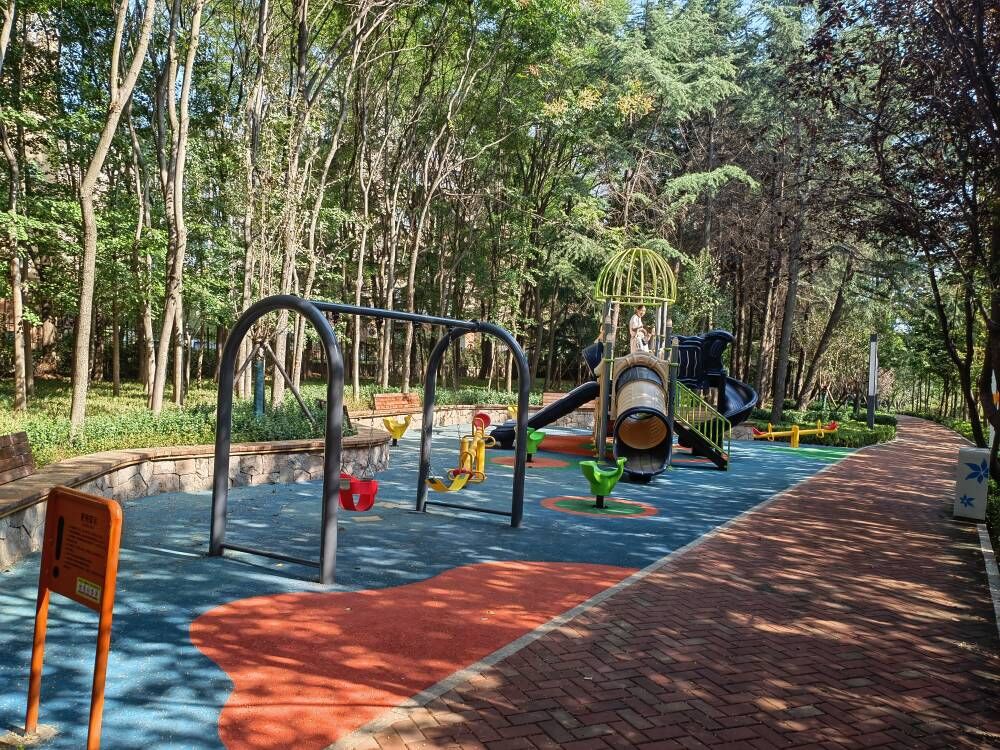 深圳路東側(cè)(仙霞嶺路-巖嶺路)綠地提升工程(設(shè)計)